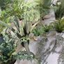 Faux plants Image 5