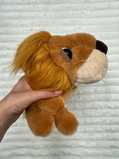 Big Headz Lion Dreamy Eyes Used Please see pictures