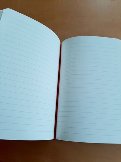 Paperblanks 'good dog' notebook
