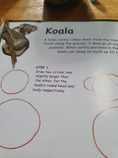 How to Draw Australian Wildlife In Very Good Condition From Pet Smoke Free Home Lots Of Books Listed For 1 2 3 Euro