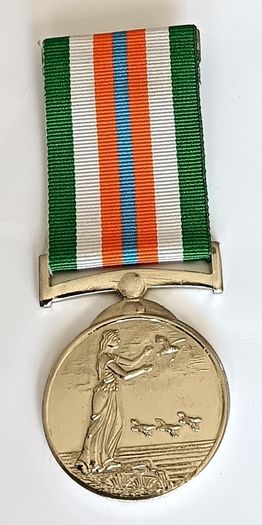 Irish Peacekeeping Medal