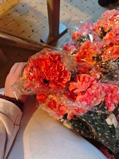 pink carnations on stems bundle wholesale