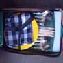 New Picnic Backpack Image 2