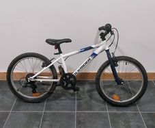 Rockrider ST120 20inch Kids Bike