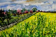 rapeseed season watercolour