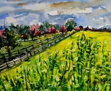 rapeseed season watercolour