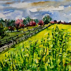 rapeseed season watercolour