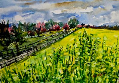 rapeseed season watercolour