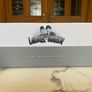 Laurel & Hardy The Collection 21 Dvd Collectors Box Set Image 3