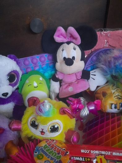 girls toy bundle