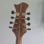 siveen mandolin Image 7