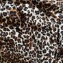 Designer Leopard Print Blouse One size Image 2