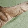 Unusual hand carved wooden lizard on exotic tree branch Image 9
