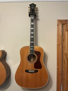Guild D 55