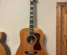 Guild D 55