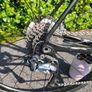Canyon Endurace + Topeak Travel Hardcase Image 5