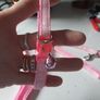 pink paw print collar and lead Image 3