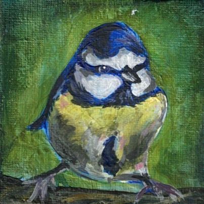 Blue Tit On A Branch - Original Painting