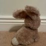 teddy Image 4