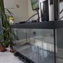 Juwel Rio 350 Aquarium Image 2