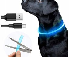 dog collar