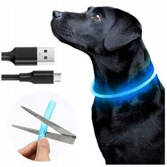 dog collar