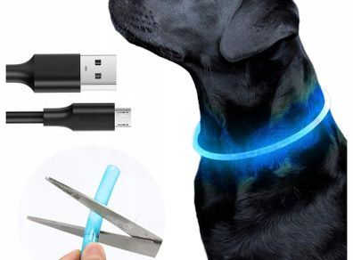 dog collar