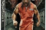 WWE / Wrestling DVDs