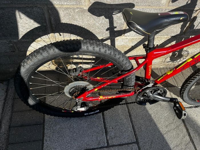 Carrera Blast 24 Junior mountain bike