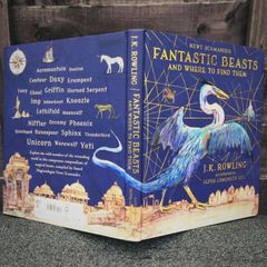 Fantastic Beasts and Where to Find Them (Illustrated)