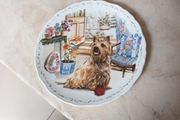 Royal  Albert - Man's Best Friend Collection  Plate - "Playtime"