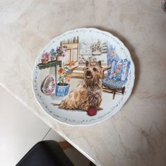 Royal  Albert - Man's Best Friend Collection  Plate - "Playtime"
