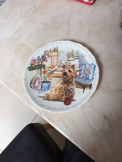Royal  Albert - Man's Best Friend Collection  Plate - "Playtime"