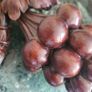 19th century Mahogany carving of summer fruits Image 4