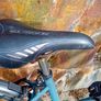 Bargin Ladies Bicycle Image 4