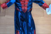 Spiderman costume