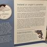 Ireland 2011 Beautiful Uncirculated Euro Coin Set Animals of Irish Coinage Salmon Image 4