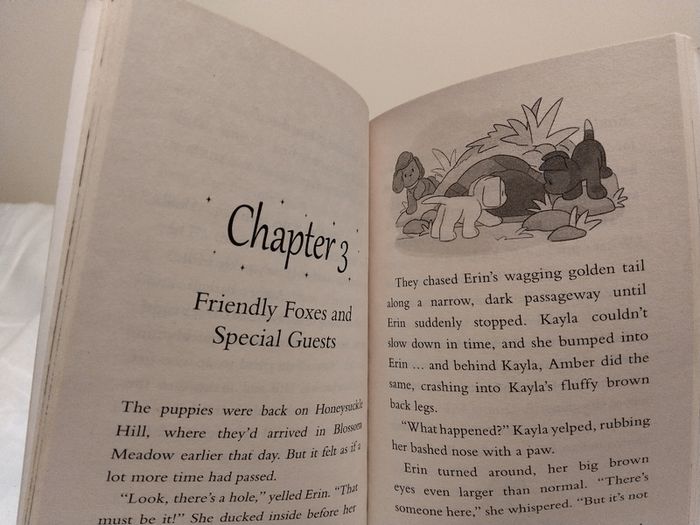 Blossom Woods Story Books By Catherine Coe