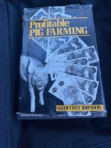 Profitable Pig Farming