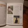 Dobermann - Pet Love Image 5