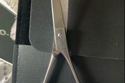 Professional scissors