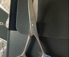 Professional scissors