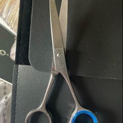 Professional scissors