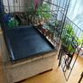 Dog crate with foam mattress Image 4