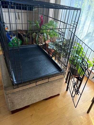 Dog crate with foam mattress