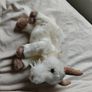 Goat Puppet Image 3