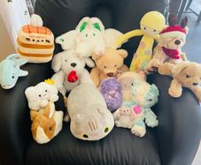 Plush Toy Bundle