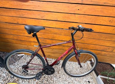 Apollo large bicycle