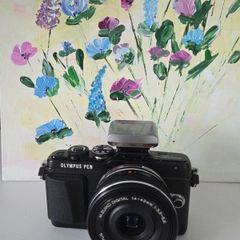 HD Camera