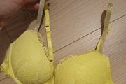 new push up bra